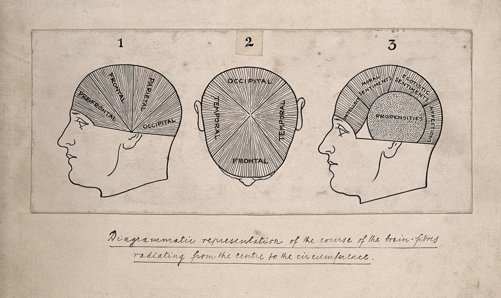 Featured image for ““BS your way to Internet Riches” – Part 4: Psychological Triggers”